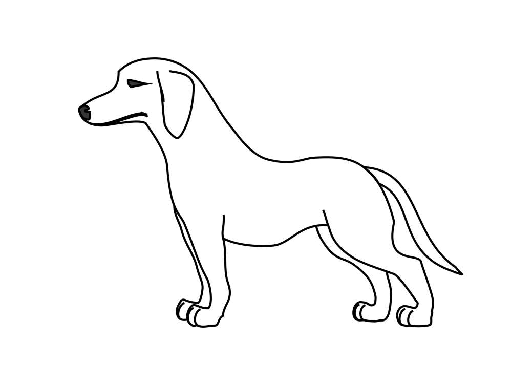 Desenho de Animais
