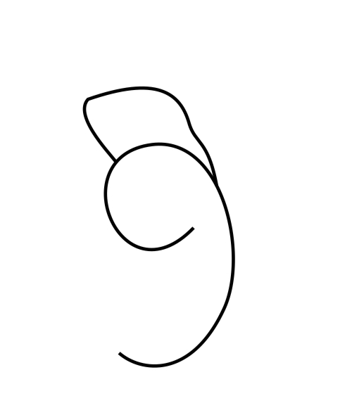 Tutorial: Como desenhar um coelho fácil e bonito